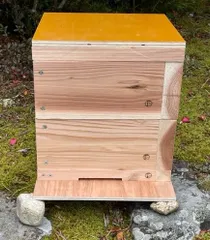 2026年最新】日本ミツバチ 巣箱の人気アイテム - メルカリ