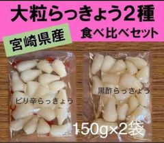 【宮崎のお漬物】ピリ辛らっきょう　玄米黒酢らっきょう　2袋セット　上沖産業