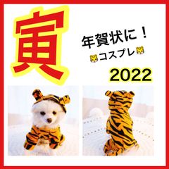 【限定セール】犬服　着ぐるみ　トラ　ハロウィン　虎　干支　正月　犬の服　ペット