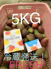 2025年最新】摘果マンゴー 5kgの人気アイテム - メルカリ