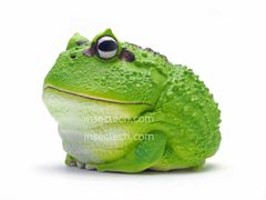『キャベツツノガエル』野菜カエル　動物惑星シリーズ　フィギュア　動物の置物 キャベツツノガエル』野菜カエル 動物惑星シリーズ フィギュア