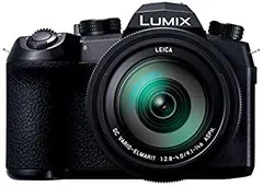 2025年最新】lumix fz1000m2の人気アイテム - メルカリ