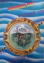 CDS1枚 / 片瀬那奈 / Shine / Revenge ～未来への誓い～(初回盤