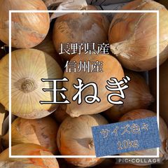 玉ねぎ10㎏　長野県産　信州産