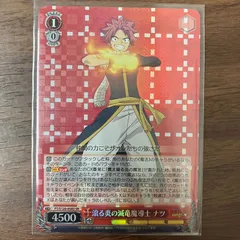 2025年最新】滾る炎の滅竜魔導士の人気アイテム - メルカリ