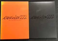1 ヱヴァンゲリヲン新劇場版 破 EVANGELION:2.22 YOU CAN (NOT) ADVANCE 庵野秀明 林原めぐみ [DVD]