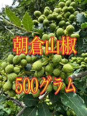 2024年最新】山椒の実 500gの人気アイテム - メルカリ