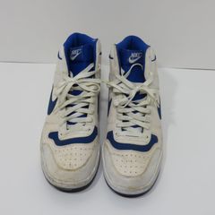 NIKE　ナイキ　スニーカー　SKY TEAM 87　555021-101　30㎝