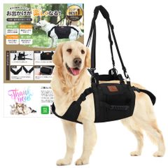 Item thumbnail for item f14fa0b3-a1f6-4237-ae9e-cb38369a4209