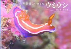 専用 新版 ウミウシ 特徴がひと目でわかる図解付き 1260種 - メルカリ