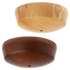 Item thumbnail for item d94f18d6-40a9-4c29-aeae-f3991c54f06c