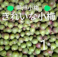 ゲリラセール！】甲州小梅10キロ