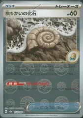 2025年最新】貝の化石 マスターボールの人気アイテム - メルカリ