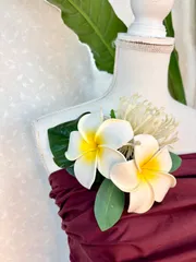 2025年最新】フラダンス ヘアクリップの人気アイテム - メルカリ