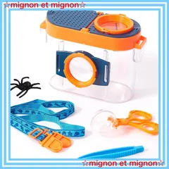 工芸作品・蝶草花飼育天然記念物採集地信州/博物館・教材