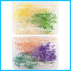 【特価商品】Princess-style ミニかすみ草 ドライフラワー 小分け レジン アクセサリーパーツ 6色セット 淡色系