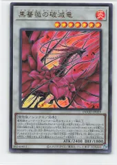 2025年最新】黒薔薇の破滅竜の人気アイテム - メルカリ