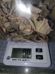 乾燥ドクダミ　約７０グラム