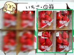 完熟とちあいか★大粒★1箱4パック★益子農園