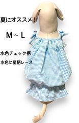 ハンドメイド犬夏服☆バルーンワンピース水色4