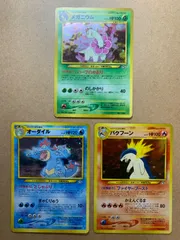 ars10+ メガニウム　旧裏 メガニウムARS10 旧裏