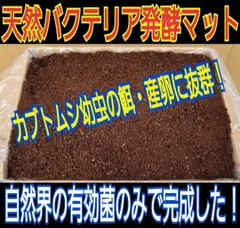 2024年最新】カブトムシ 飼育マットの人気アイテム - メルカリ