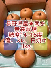 長野県産★南水★無袋栽培★訳あり★3kg