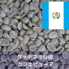 コーヒー生豆 グァテマラSHB カフェピューマ Qグレード 1kg