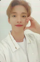 SEVENTEEN CARAT盤 DK 舞い落ちる花びら