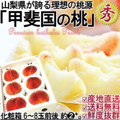 【1～3週間出荷予定】産地直送 甲斐国の桃 お中元 ギフト 白桃 白鳳 6～8玉 山梨県産 秀品以上 笛吹 一宮 塩山エリア厳選 高糖度 高品質 高鮮度 贈り物 贈答用