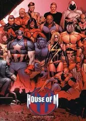 【帯付:解説書完全品】ヴィレッジブックス アベンジャーズコミック完結25冊セット 帯付:解説書完全品】ヴィレッジブックス アベンジャーズコミック完結25