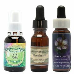 【15％オフ】「実行力UP＆具現化促進3本セット」