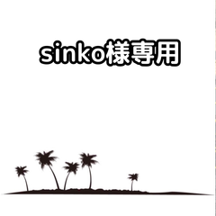 sinko様専用【抜き苗】10本　ワシントニア　ロブスタ　　ワシントン　ロブスタ　Washingtonia robusta