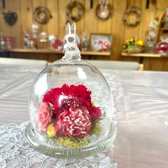 【母の日ギフト】newウサギドームに真紅のカーネーションを気持ちと共に閉じ込めて！