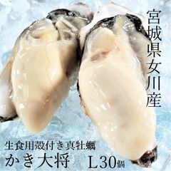 【生食用】かき大将 大 L/30個 三陸宮城女川 殻付き 生牡蠣