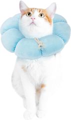 Item thumbnail for item 4f0d2269-35b9-4eab-acc3-b89f60fc4ce1