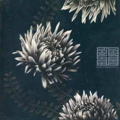 2025年最新】ELECTROCUTICA REVERSUSの人気アイテム - メルカリ