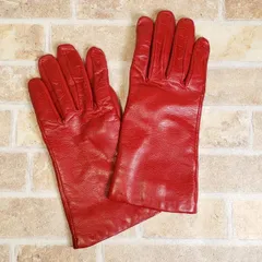 2025年最新】セルモネータグローブスの人気アイテム - メルカリ