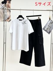 Arc'teryx アークテリクス 　コットン　半袖　Tシャツ　レディース　メンズ　男女兼用 S