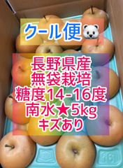 長野県産★無袋栽培★南水梨★5kg★キズあり★クール便‼️