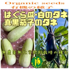 はぐら瓜（白）15粒と真黒茄子（ナス）20粒のタネ　固定種・無農薬無化学肥料栽培のタネ