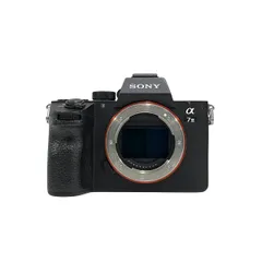 2025年最新】sony α7iii ボディ ilce-7m3の人気アイテム - メルカリ