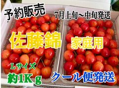 1 予約販売　北海道産　さくらんぼ　佐藤錦　家庭用　Lサイズ　1kg