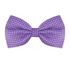 Allegra K ワンタッチ蝶ネクタイ 水玉模様 子供 大人 蝶ネクタイ フォーマル パーティー 卒業 ビジネス パープル One Size