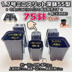 1.7号ミニスリット深鉢55型(高機能スリット鉢)★(直径φ5(対角5.5))：黒・半透明(クリアー)・混色75鉢セット＊プレステラ75型よりコンパクト＊多肉植物・塊根植物コーデックス・アガベ・サボテン・ハオルチア・観葉・実生・さし芽＠フラワーショップ江口