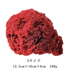 天然深海赤珊瑚 サンゴ 一刀彫三本脚の蛙 置物 入手困難 骨董 WWFT006 天然深海赤珊瑚 サンゴ 一刀彫三本脚の蛙 置物 入手困難 骨董