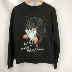 00年代 DELTA FLEECE 孫悟空　カメカメ波 プリントスウェット　サイズS　FADE 06091104　861のサムネイル