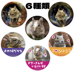 送料無料　Degu　デグー　シール「デグー　ステッカー　６種類各１枚」（１枚　約６０ｍｍ×約６０ｍｍ）