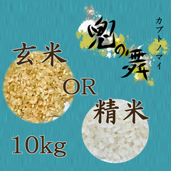 ～兜の舞～農薬不使用 カブトエビ農法 玄米or精米 10kg