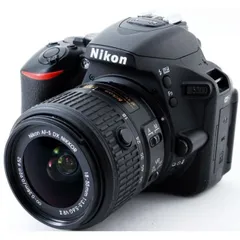 2025年最新】nikond5500 ボディの人気アイテム - メルカリ